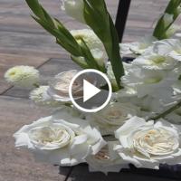 6a4bec012cf2e_1000161634.mp4